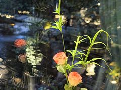 -乾园.魏庐湖景餐厅(花港店)