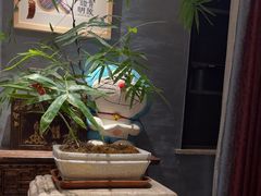 -恬阿姨庭院餐厅·生日宴
