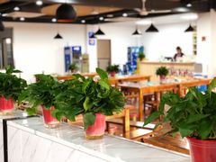 大堂-皖北巫氏三胖地锅鸡(正大店)