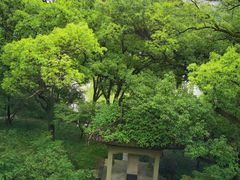 -杭州花家山庄