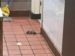 -麦当劳(牡丹江路店)