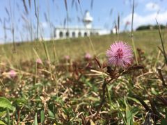 景点-鹅銮鼻灯塔