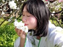 -南汇桃花村