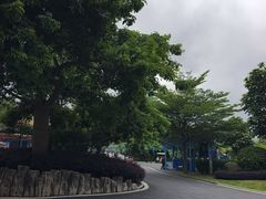 -森波拉奇妙世界