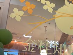 -奈雪的茶(石家庄万象城店)