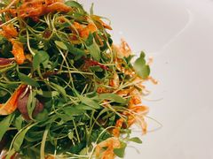 樱花虾蔬苗-逸道(益丰·外滩源店)