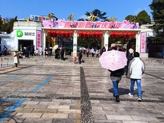 -昆明动物园