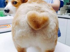 -荣德灶台鱼(圣泉寺店)