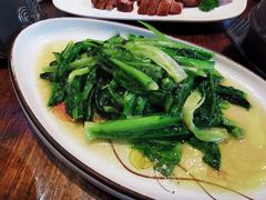 -陈麻婆豆腐(旗舰店)