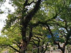 -桂林喜来登饭店雅琴咖啡厅