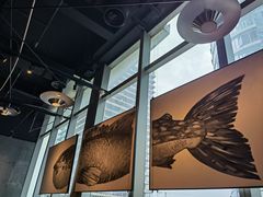-Mr·Fish鱼鲜生海鲜放题(银泰in99店)