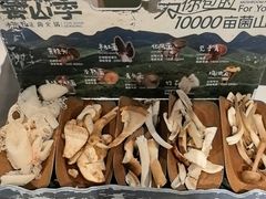 -芸山季·云南山珍菌火锅(南翔印象城MEGA店)