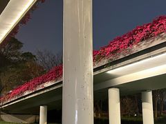 -荔香公园