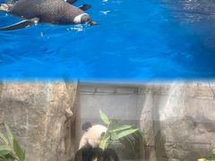 -香港海洋公园