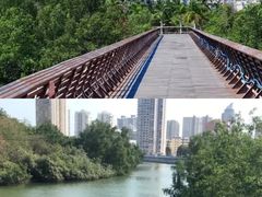 -金鸡岭桥头公园