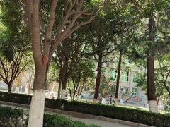 -西京医院