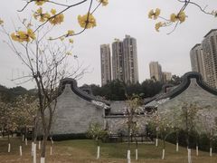 -香山湖公园