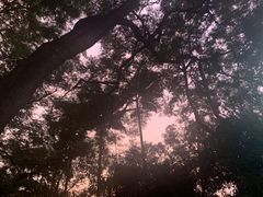 -奥林匹克体育中心游泳馆