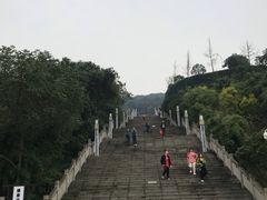 -铁山坪森林公园