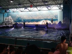 -秦皇岛乐岛海洋王国