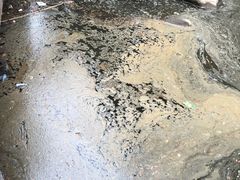 -九鲤湖风景区