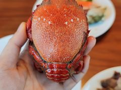 -嘉定凯悦·咖啡厅