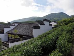 -帐篷客·溪龙茶谷度假酒店