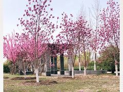 -永定河休闲森林公园