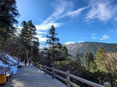 -黄龙山原始森林景区