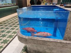 -帝皇海海鲜豆捞(桐泾商务广场店)