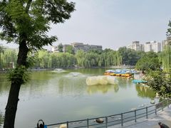 -莲湖公园