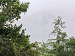 -崂山巨峰游览区