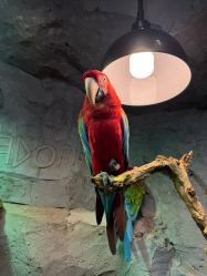 -Zoolung Zoolung动物主题公园(海信广场店)