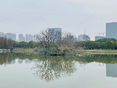 -艾溪湖湿地公园