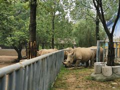 -西安秦岭野生动物园