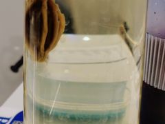 -兰湘子·湘菜小炒(崂山丽达店)