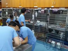 住院区-泰洋动物医院·神经专科·磁共振·CT(天河公园总院)