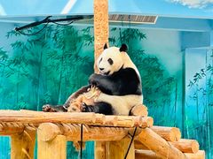 -沈阳森林动物园