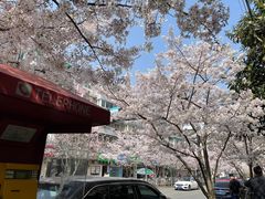 -永乐路-路侧停车场