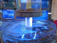 -高老庄新家宴(北斗星广场店)