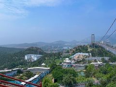 -西霞口神雕山野生动物世界