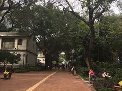 -九龙公园