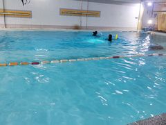 -上海潜殿潜水中心