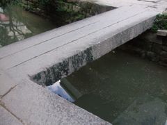 -小洲村