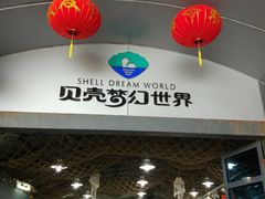 -贝壳梦幻世界