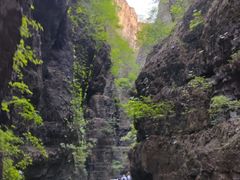 -野三坡百里峡景区