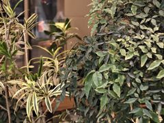 -奈雪茶院·茶室茶馆(广州粤海天地店)