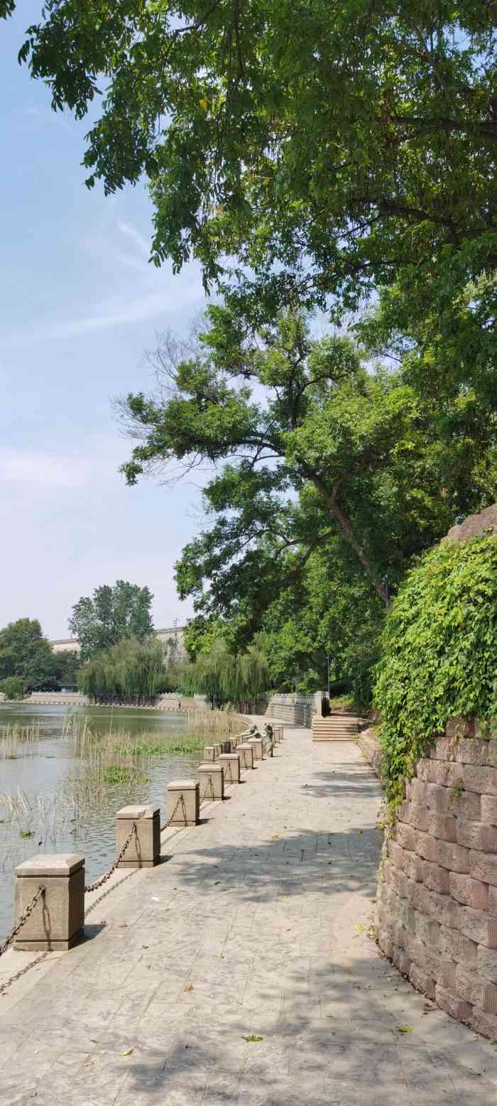 东干长巷公园-"2017年夫子庙灯会,其实我觉得今年东干.