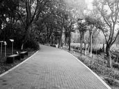 -金鸡湖景区