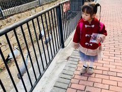 -泉州海丝野生动物世界